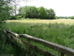 Bellinckhofweg